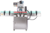 Picture of Fully Automatic Bottle Screw Capping Machine